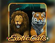 Exotic Cats